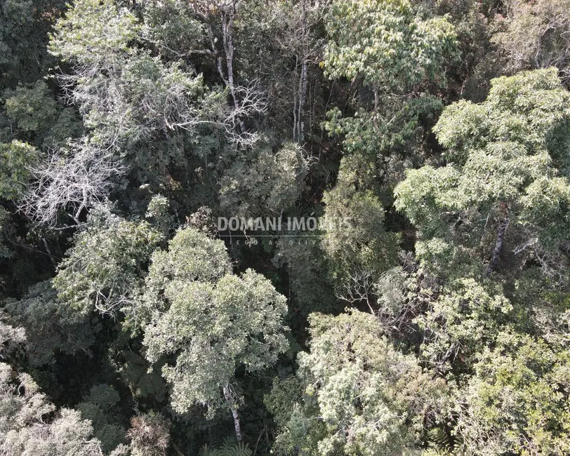 Foto 8 de Terreno / Lote à venda, 7780m2 em Campos Do Jordao - SP