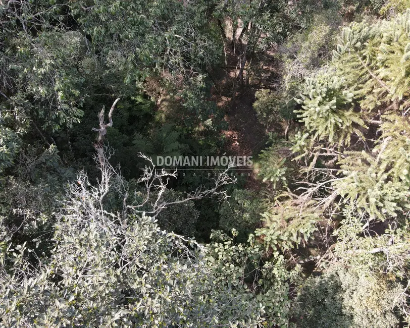 Foto 9 de Terreno / Lote à venda, 7780m2 em Campos Do Jordao - SP