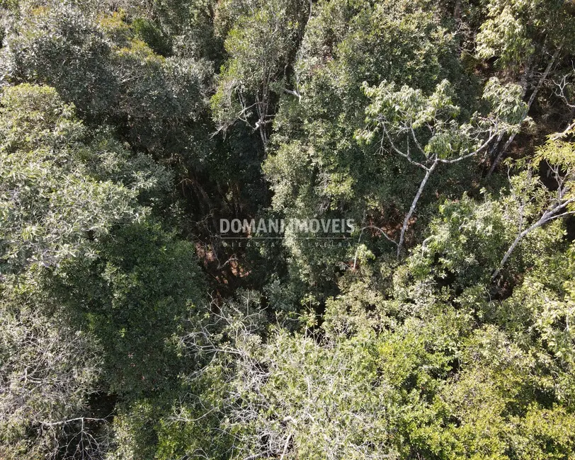 Foto 3 de Terreno / Lote à venda, 7780m2 em Campos Do Jordao - SP