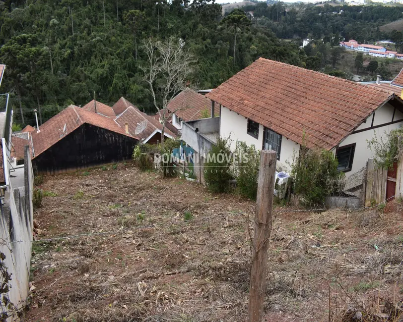 Foto 3 de Terreno / Lote à venda, 295m2 em Campos Do Jordao - SP