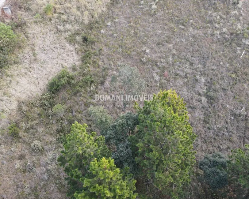 Foto 2 de Terreno / Lote à venda, 5030m2 em Campos Do Jordao - SP