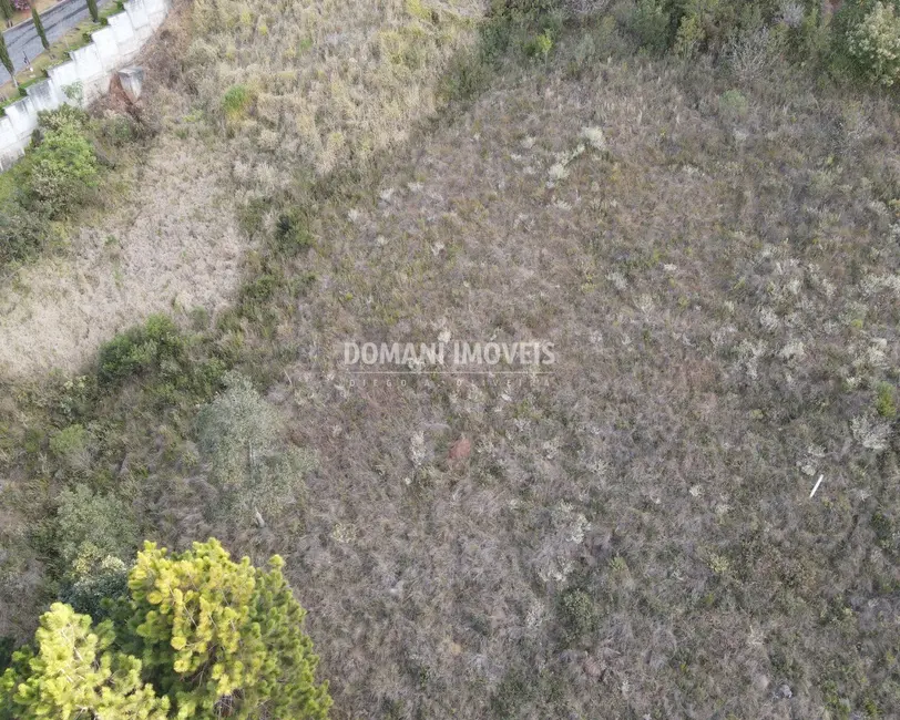Terreno / Lote à venda, 5030m2 em Campos Do Jordao - SP - imagem 6 Foto 6 de Terreno / Lote à venda, 5030m2 em Campos Do Jordao - SP