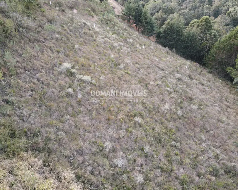 Terreno / Lote à venda, 5030m2 em Campos Do Jordao - SP - imagem 3 Foto 3 de Terreno / Lote à venda, 5030m2 em Campos Do Jordao - SP