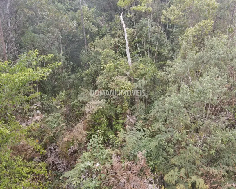 Foto 8 de Terreno / Lote à venda, 1150m2 em Campos Do Jordao - SP
