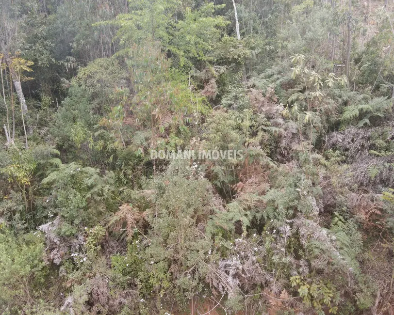 Foto 5 de Terreno / Lote à venda, 1150m2 em Campos Do Jordao - SP
