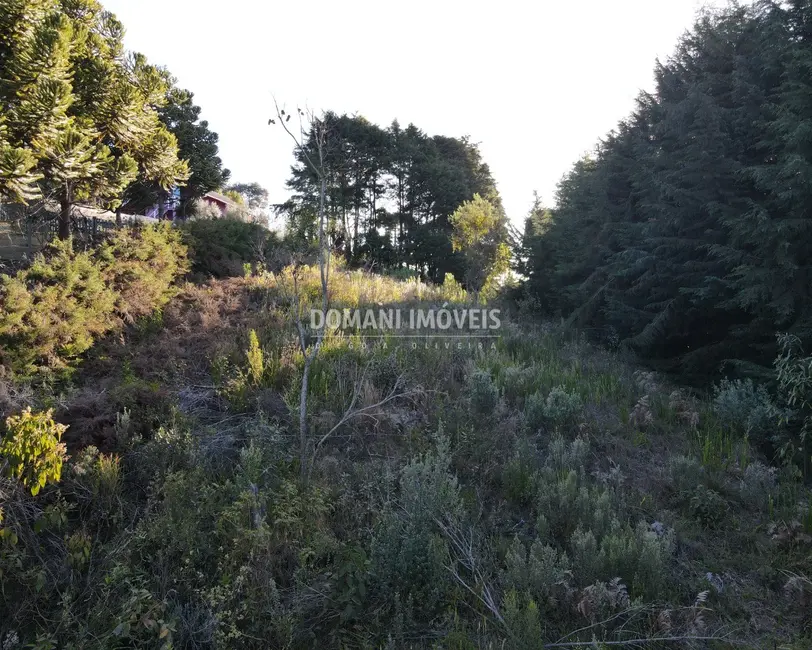 Foto 7 de Terreno / Lote à venda, 1230m2 em Campos Do Jordao - SP