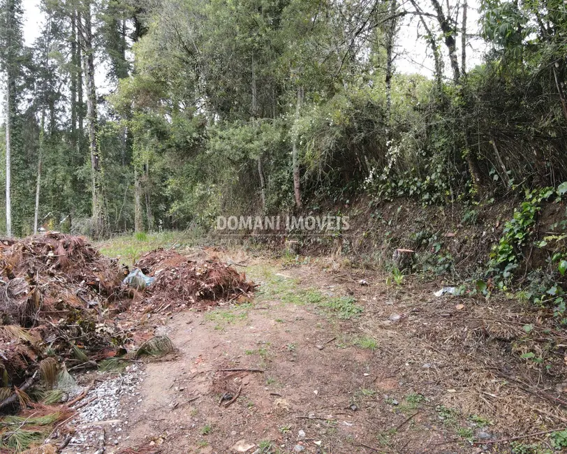 Foto 5 de Terreno / Lote à venda, 1100m2 em Campos Do Jordao - SP