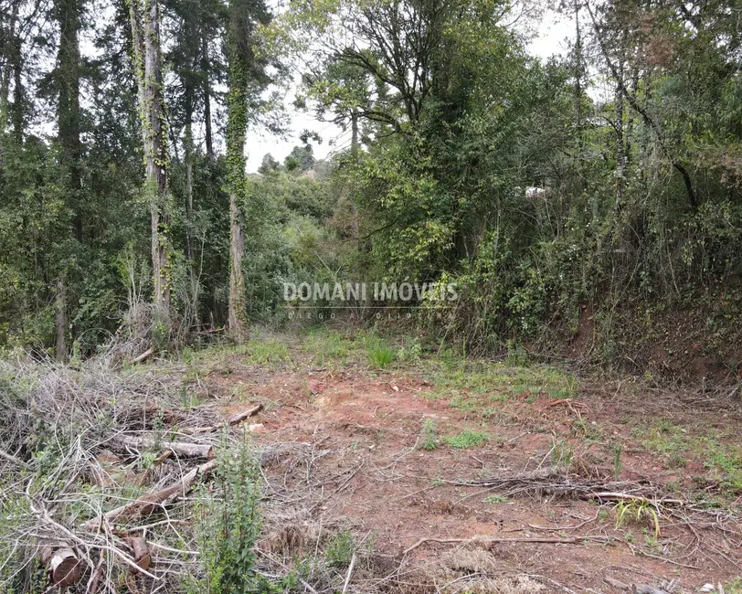 Foto 4 de Terreno / Lote à venda, 1100m2 em Campos Do Jordao - SP