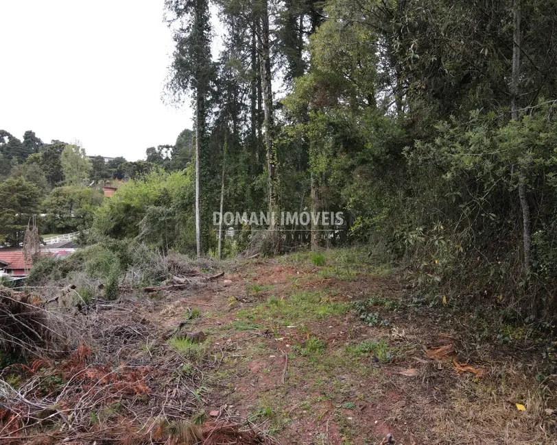 Foto 2 de Terreno / Lote à venda, 1100m2 em Campos Do Jordao - SP