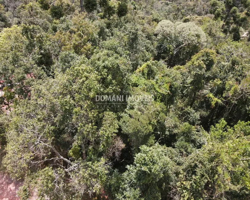 Foto 3 de Terreno / Lote à venda, 1170m2 em Campos Do Jordao - SP