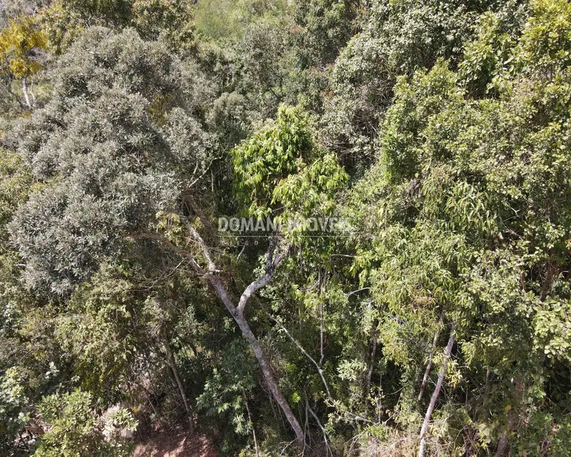 Foto 6 de Terreno / Lote à venda, 1170m2 em Campos Do Jordao - SP