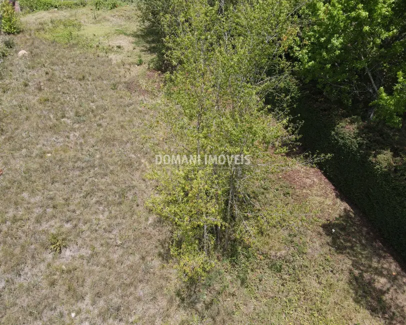 Foto 5 de Terreno / Lote à venda, 1010m2 em Campos Do Jordao - SP