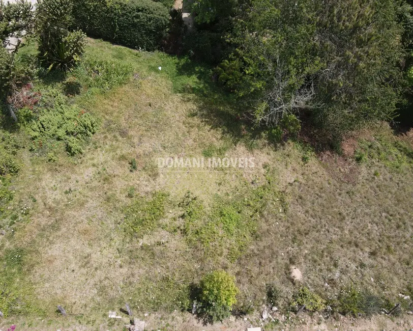 Foto 9 de Terreno / Lote à venda, 1010m2 em Campos Do Jordao - SP