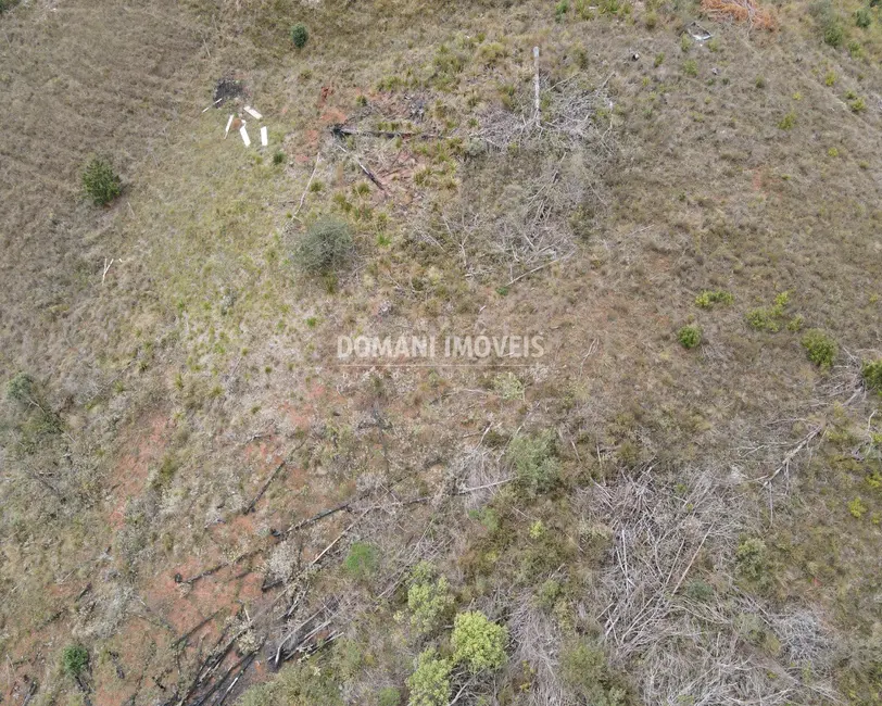Foto 6 de Terreno / Lote à venda, 2520m2 em Campos Do Jordao - SP