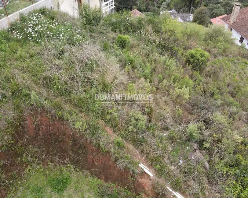 Foto 7 de Terreno / Lote à venda, 490m2 em Campos Do Jordao - SP