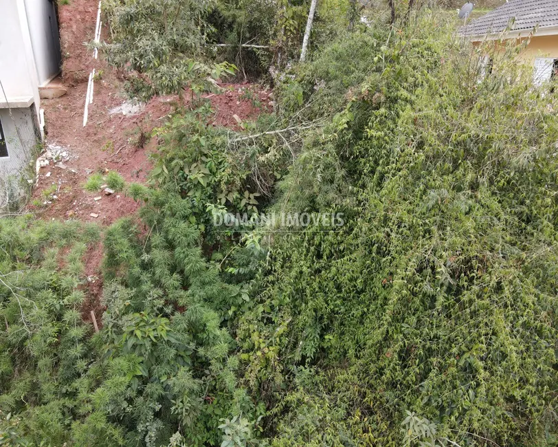 Foto 4 de Terreno / Lote à venda, 490m2 em Campos Do Jordao - SP