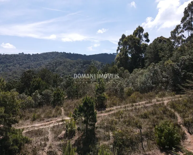 Foto 6 de Terreno / Lote à venda, 2850m2 em Campos Do Jordao - SP