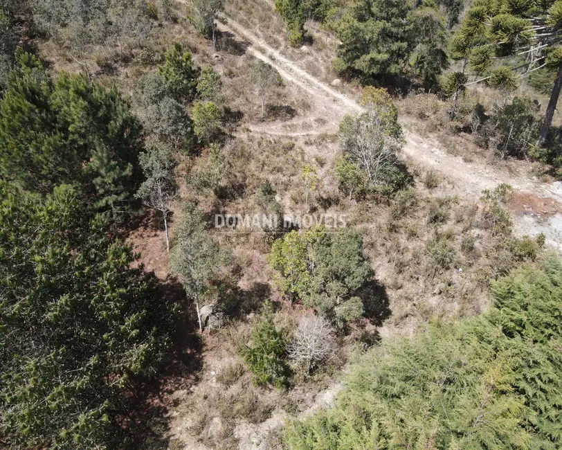 Foto 8 de Terreno / Lote à venda, 2850m2 em Campos Do Jordao - SP