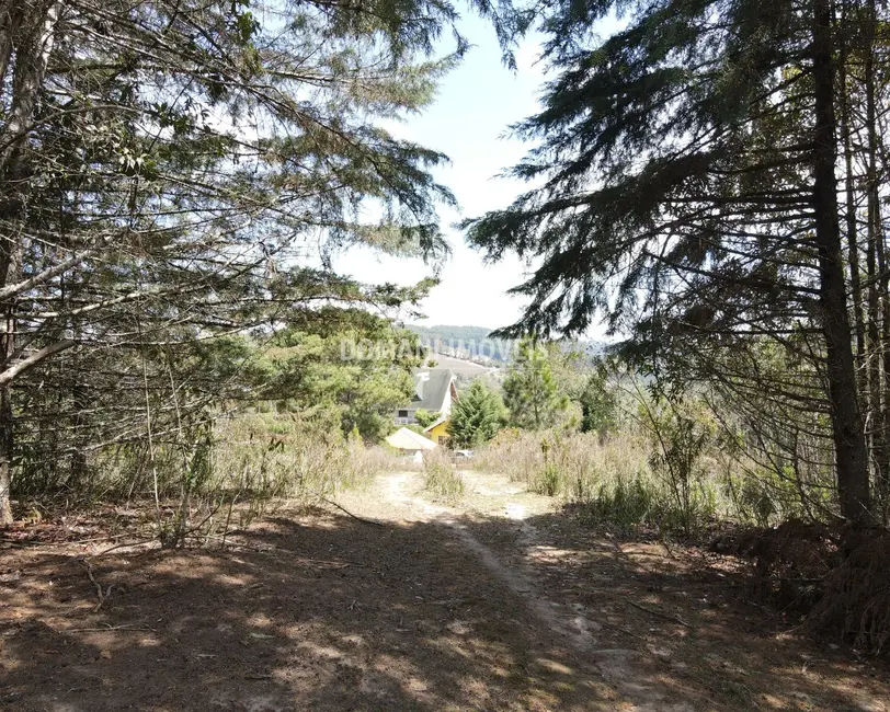 Foto 3 de Terreno / Lote à venda, 2850m2 em Campos Do Jordao - SP