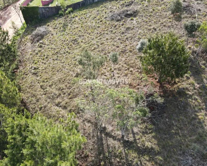 Foto 9 de Terreno / Lote à venda, 1350m2 em Campos Do Jordao - SP