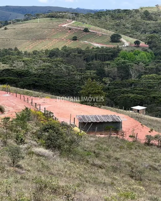 Terreno / Lote à venda, 1010m2 em Campos Do Jordao - SP - imagem 4 Foto 4 de Terreno / Lote à venda, 1010m2 em Campos Do Jordao - SP