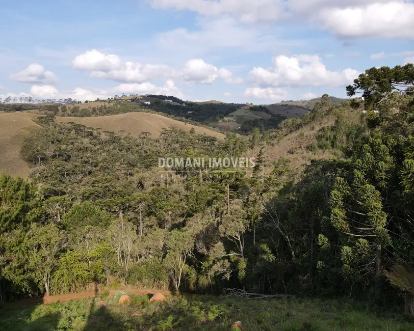 Foto 4 de Terreno / Lote à venda, 1250m2 em Campos Do Jordao - SP