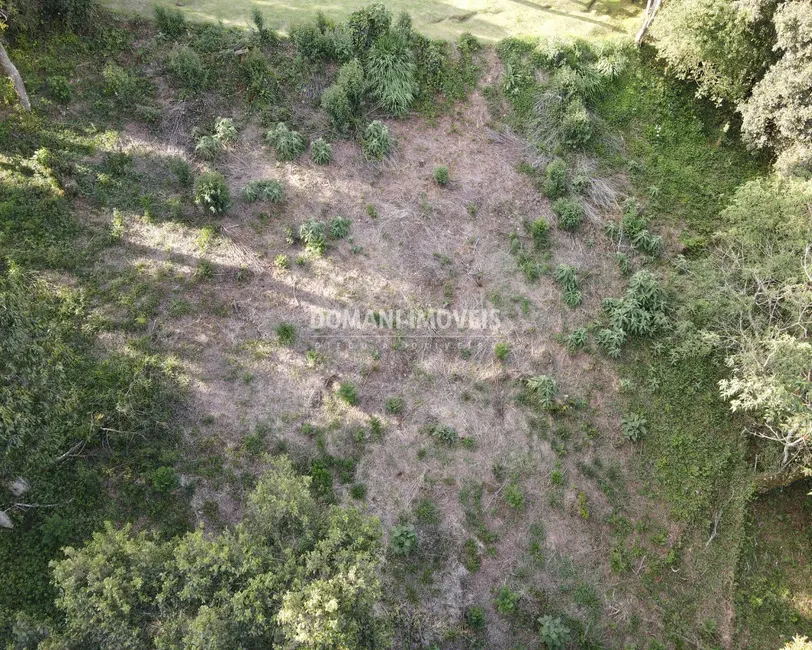 Foto 7 de Terreno / Lote à venda, 1250m2 em Campos Do Jordao - SP