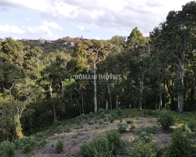 Foto 5 de Terreno / Lote à venda, 1250m2 em Campos Do Jordao - SP