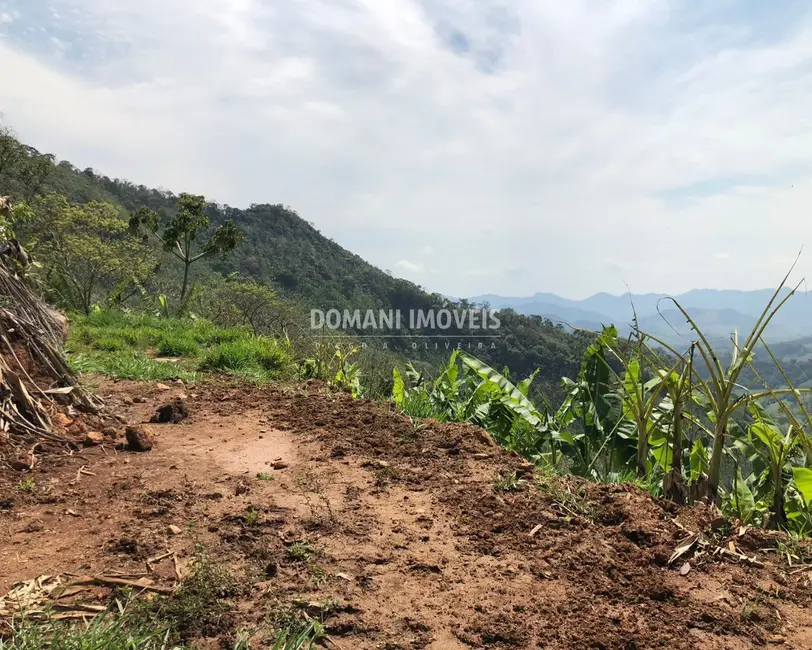 Foto 2 de Terreno / Lote à venda, 34000m2 em Sao Bento Do Sapucai - SP
