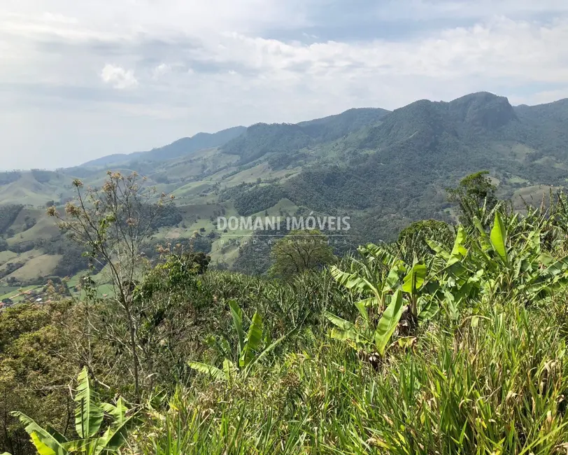 Foto 4 de Terreno / Lote à venda, 34000m2 em Sao Bento Do Sapucai - SP