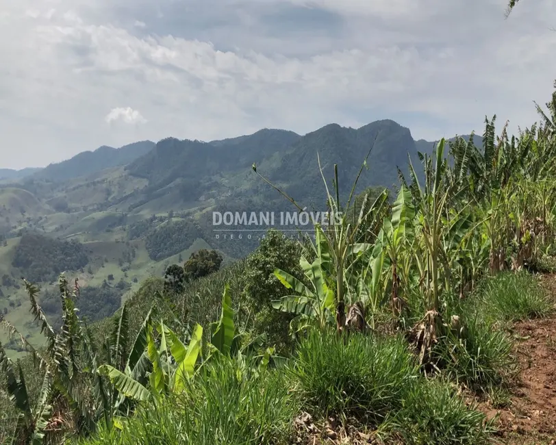 Foto 6 de Terreno / Lote à venda, 34000m2 em Sao Bento Do Sapucai - SP