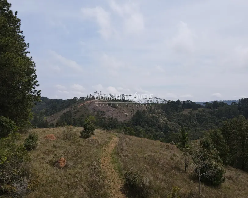 Foto 8 de Casa com 6 quartos à venda, 340m2 em Campos Do Jordao - SP