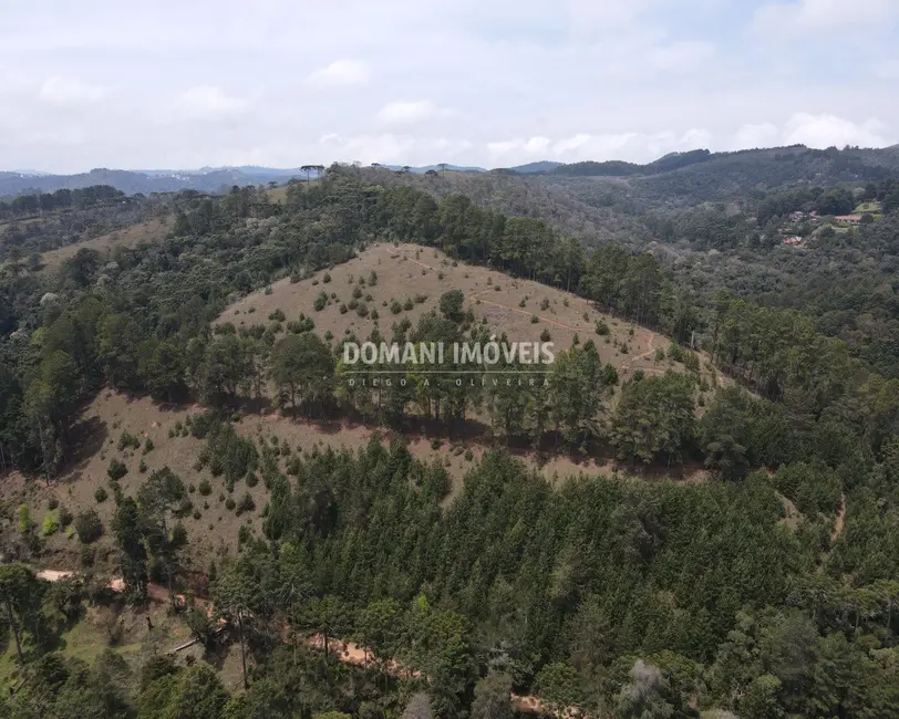 Foto 7 de Casa com 6 quartos à venda, 340m2 em Campos Do Jordao - SP