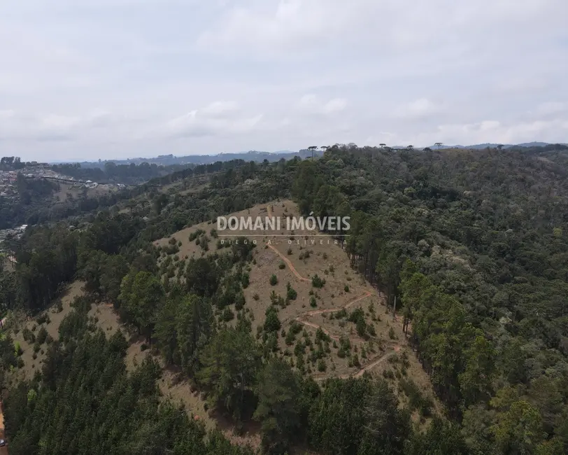 Foto 5 de Casa com 6 quartos à venda, 340m2 em Campos Do Jordao - SP