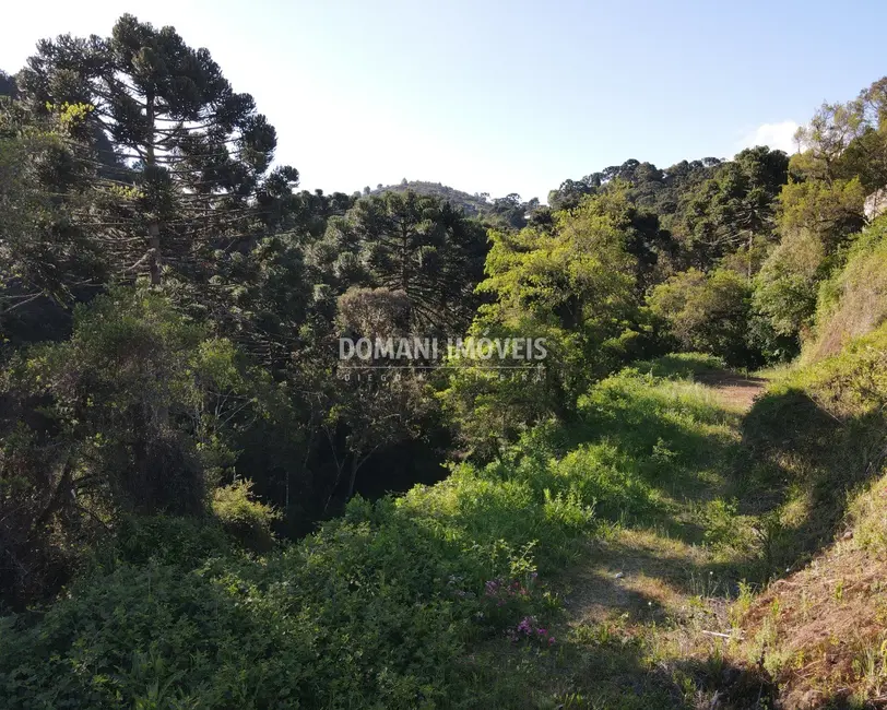 Foto 4 de Terreno / Lote à venda, 750m2 em Campos Do Jordao - SP