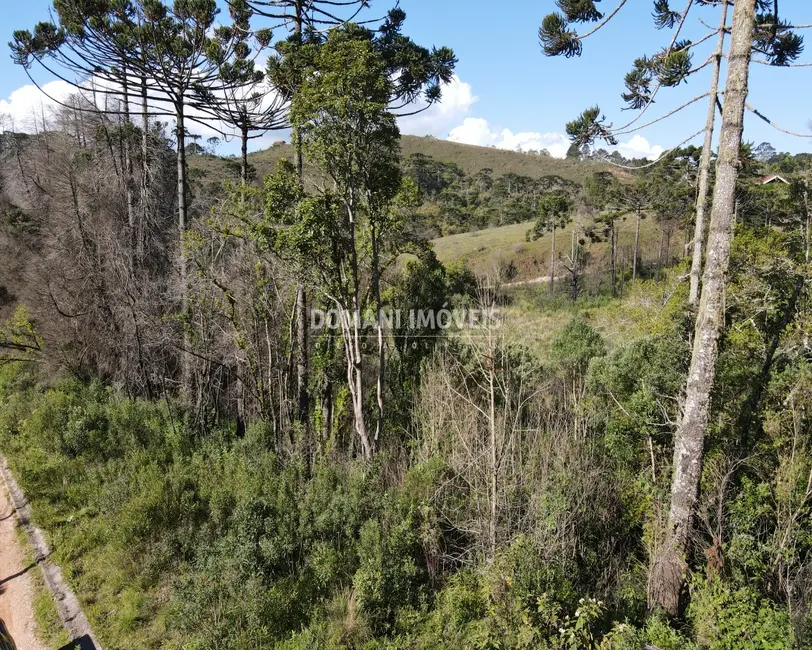 Foto 7 de Terreno / Lote à venda, 1630m2 em Campos Do Jordao - SP