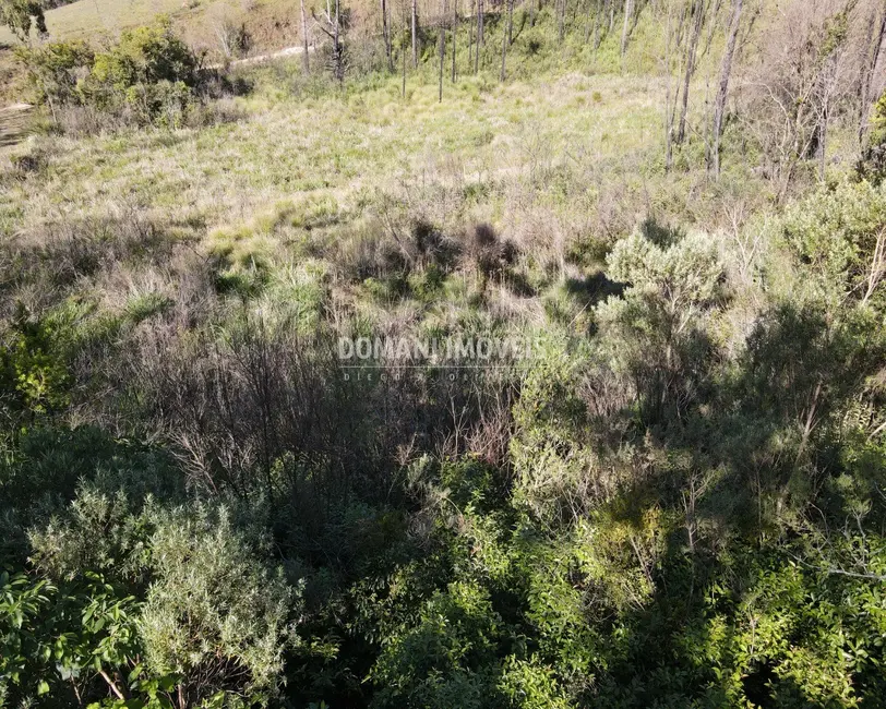 Foto 6 de Terreno / Lote à venda, 1630m2 em Campos Do Jordao - SP
