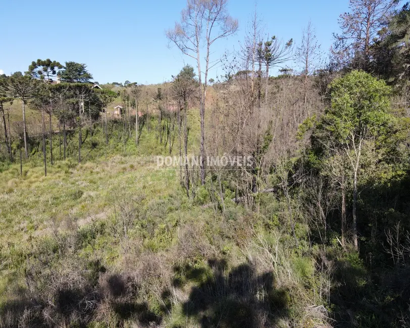 Foto 4 de Terreno / Lote à venda, 1630m2 em Campos Do Jordao - SP