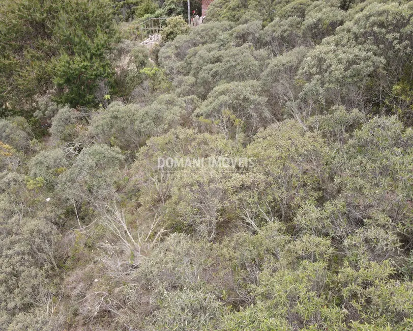 Foto 7 de Terreno / Lote à venda, 1400m2 em Campos Do Jordao - SP