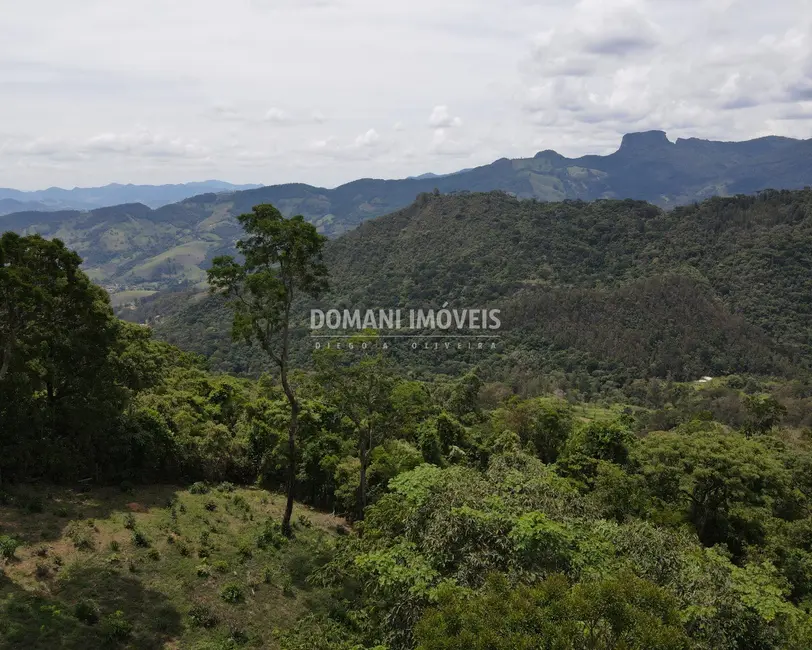 Terreno / Lote à venda, 1850m2 em Campos Do Jordao - SP - imagem 8 Foto 8 de Terreno / Lote à venda, 1850m2 em Campos Do Jordao - SP