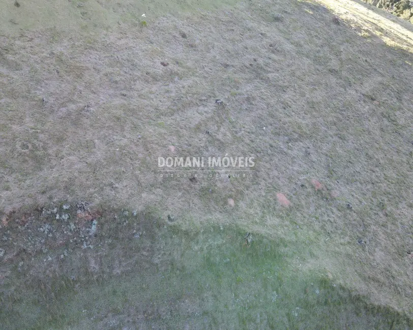 Foto 7 de Terreno / Lote à venda, 1110m2 em Campos Do Jordao - SP