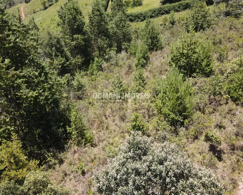 Foto 7 de Terreno / Lote à venda, 3220m2 em Campos Do Jordao - SP