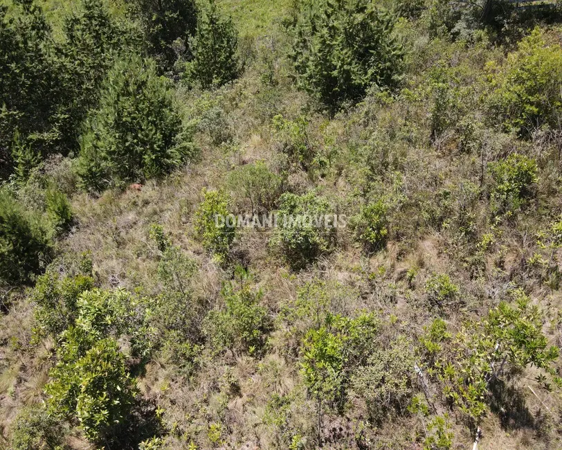 Foto 3 de Terreno / Lote à venda, 3220m2 em Campos Do Jordao - SP