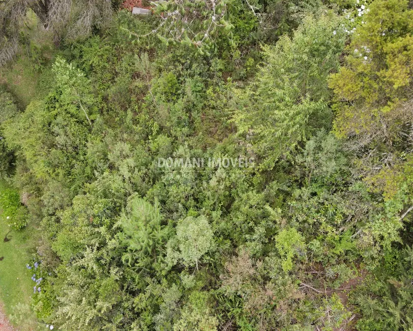 Foto 2 de Terreno / Lote à venda, 1050m2 em Campos Do Jordao - SP