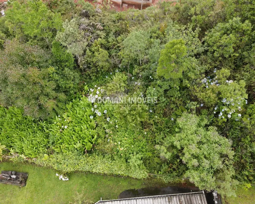 Foto 5 de Terreno / Lote à venda, 1210m2 em Campos Do Jordao - SP