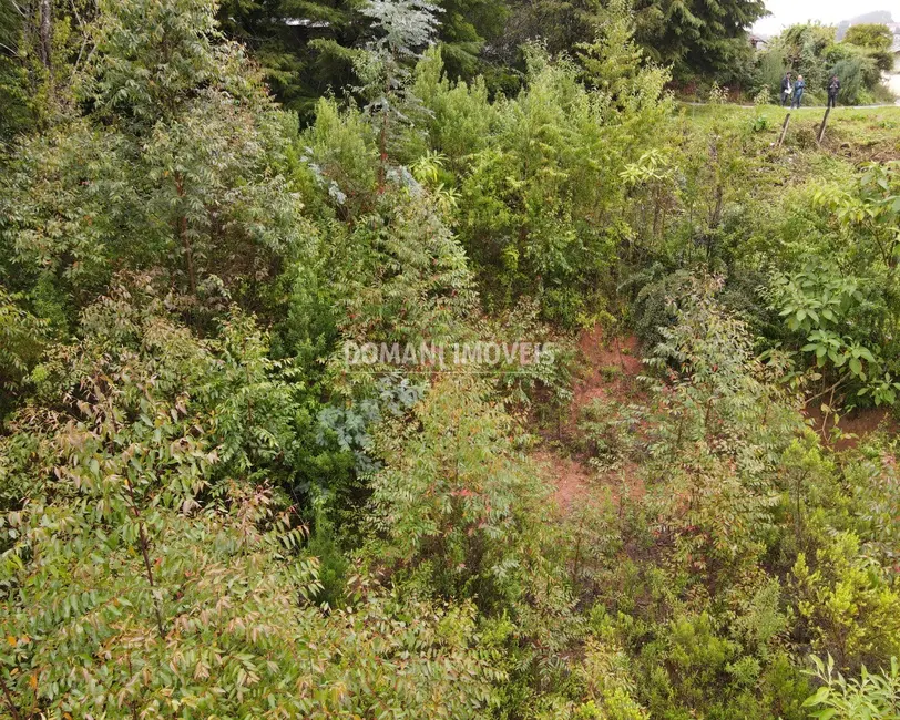 Terreno / Lote à venda, 740m2 em Campos Do Jordao - SP - imagem 7 Foto 7 de Terreno / Lote à venda, 740m2 em Campos Do Jordao - SP