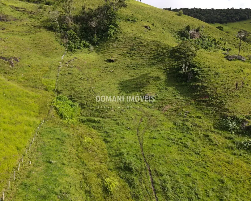 Foto 9 de Terreno / Lote à venda, 13050m2 em Campos Do Jordao - SP