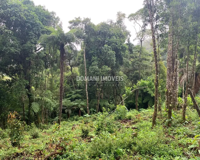 Foto 1 de Terreno / Lote à venda, 1210m2 em Campos Do Jordao - SP