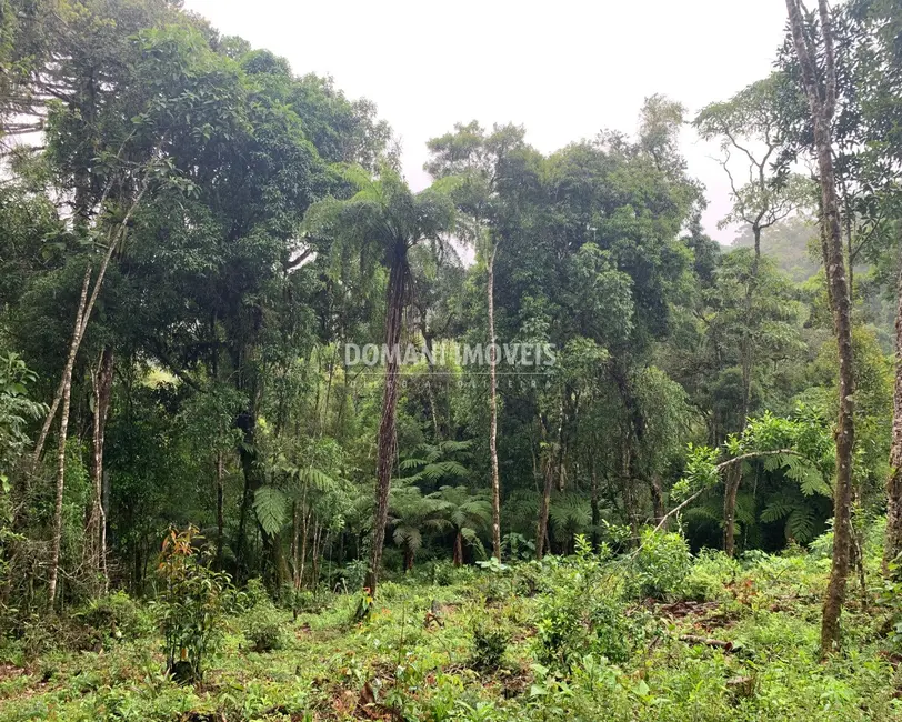 Foto 2 de Terreno / Lote à venda, 1210m2 em Campos Do Jordao - SP
