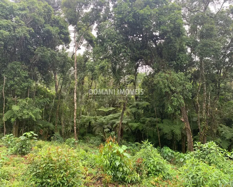 Foto 8 de Terreno / Lote à venda, 1050m2 em Campos Do Jordao - SP